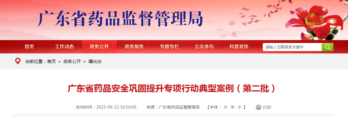 广东省药品安全巩固提升专项行动典型案例（第二批）