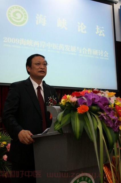 构建两岸民间交流平台促进中医药务实发展