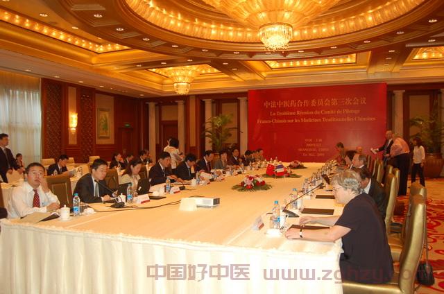 中法中医药合作委员会第三次会议在上海召开