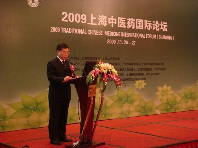 马建中副局长赴上海参加2009上海中医药国际论坛