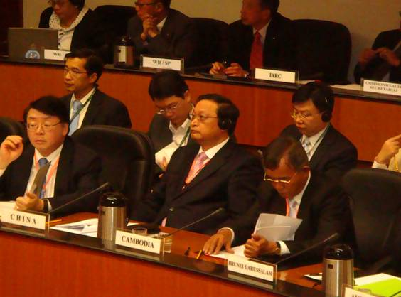 王国强副部长出席世界卫生组织西太区委员会第59届会议