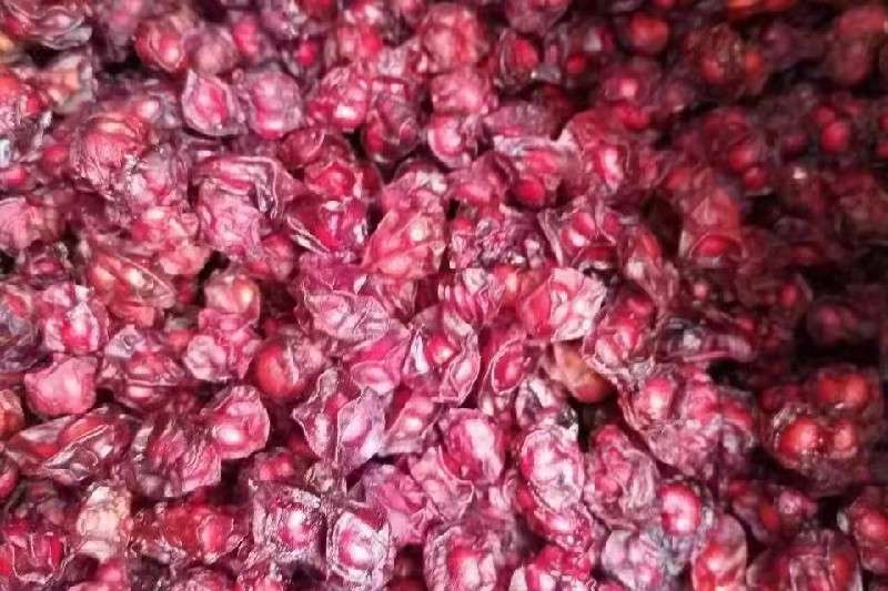 吉林省白山市靖宇县北五味子货源不丰