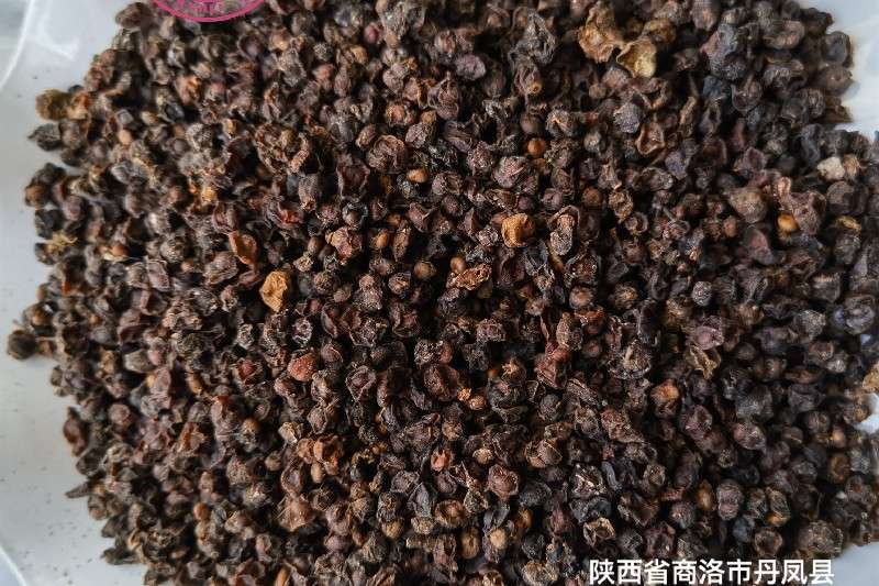 陕西省商洛市丹凤县 南五味子走势缓慢