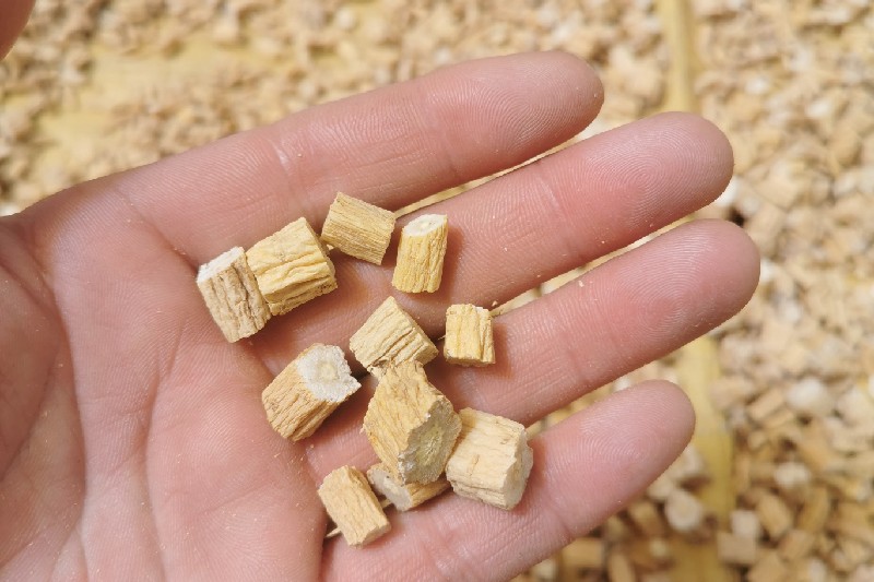 甘肃省定西市岷县 党参 快讯信息