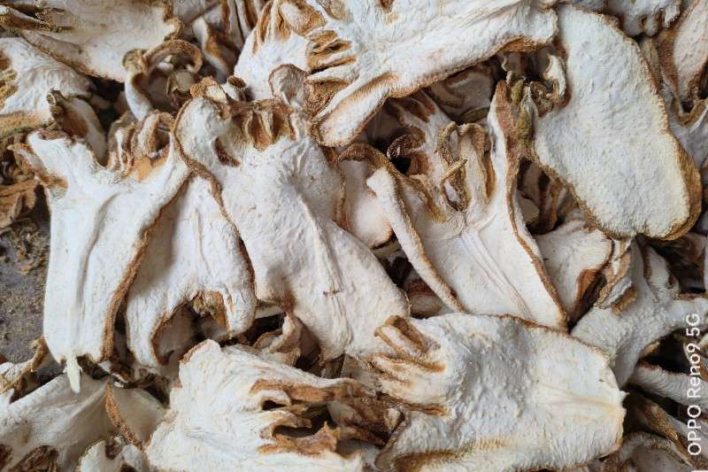 重庆市万州区佛手有量 价格平平