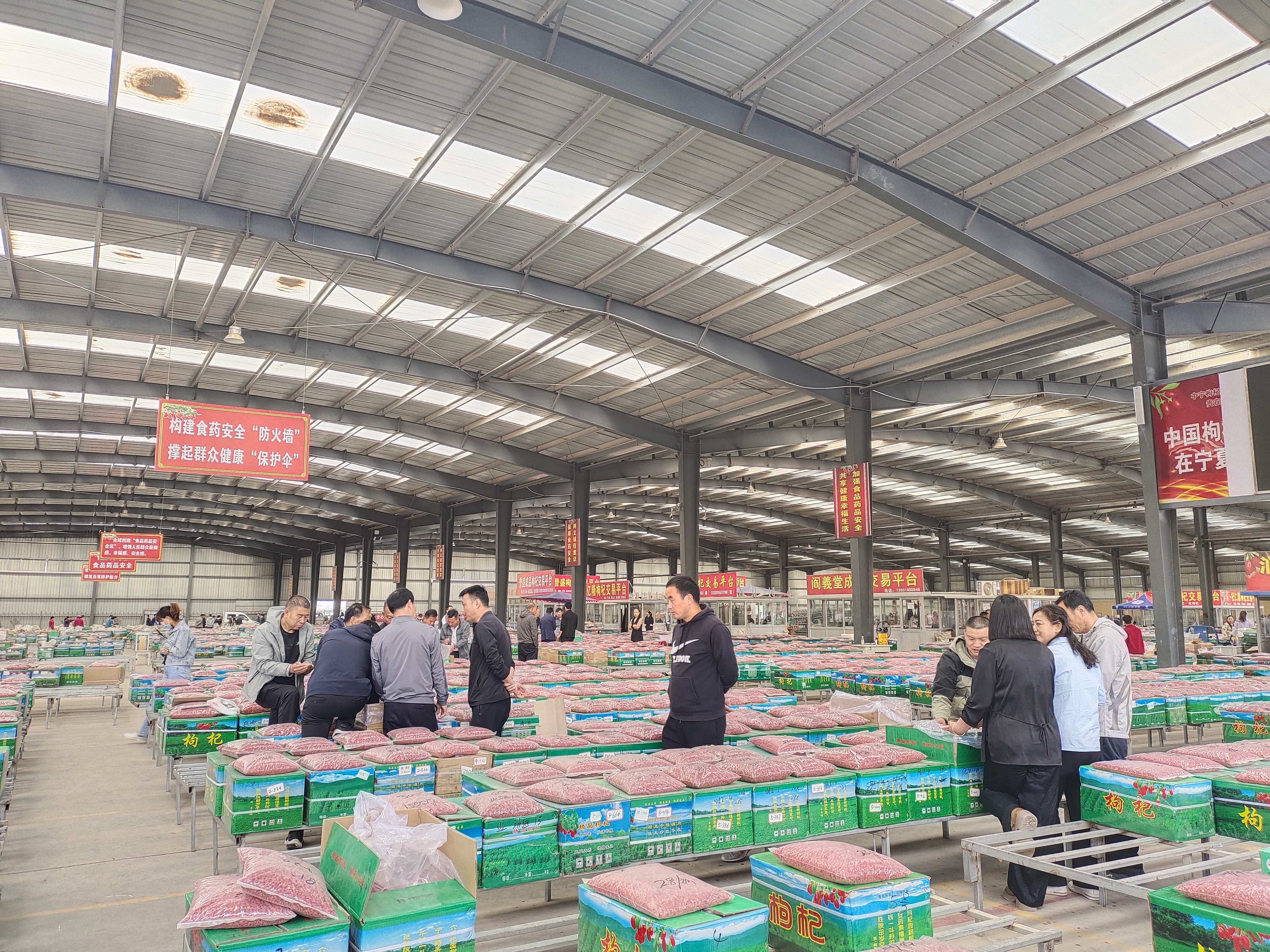 宁夏回族自治区中卫市中宁县枸杞子最近持续走畅