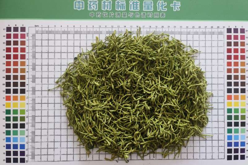 山东省临沂市平邑县 金银花头茬产新基本结束