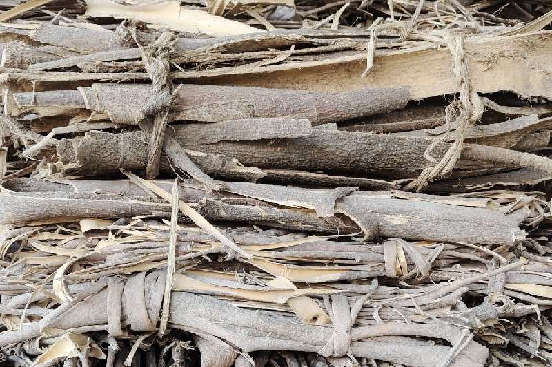 陕西省商洛市商州区合欢皮货源不丰