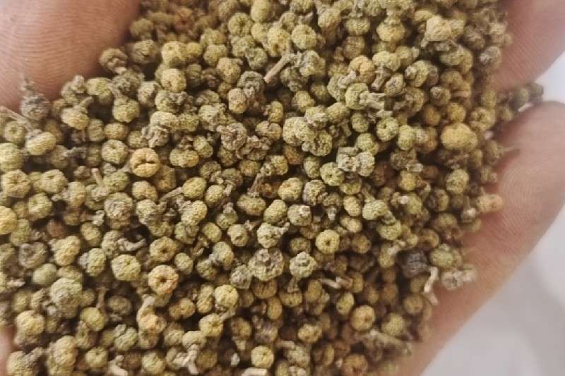 广西河池市宜州市 快讯信息