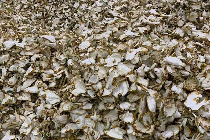 四川省乐山市佛手上涨