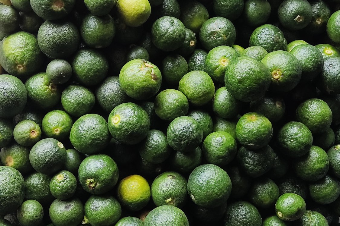 江西省新干县酸橙枳实产新开始价格稳中上涨