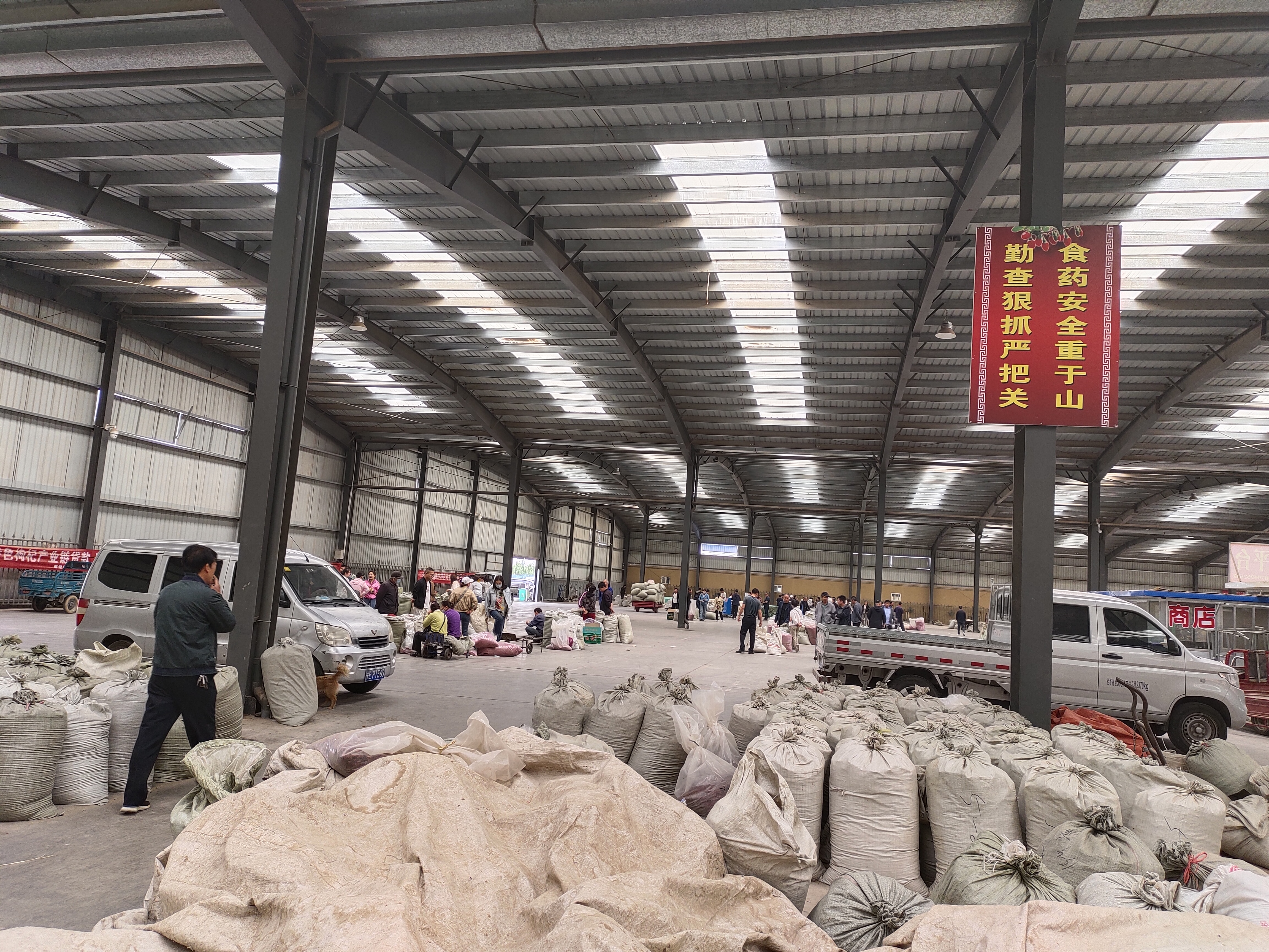 宁夏回族自治区中卫市中宁县枸杞子走动缓慢