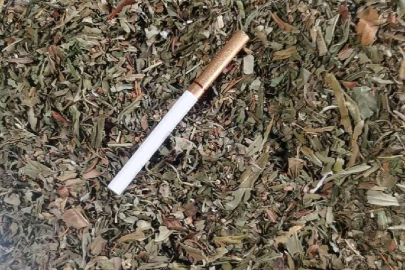 四川省泸州市古蔺县赶黄草货源充足