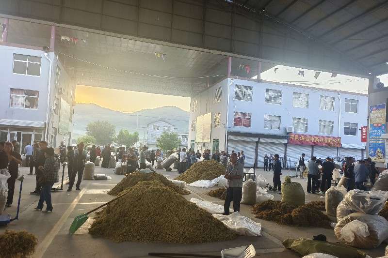 山东省临沂市平邑县 金银花交易稳定