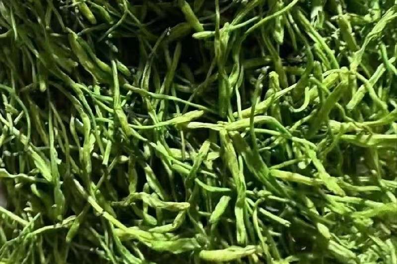 湖南省邵阳市隆回县 山银花 快讯信息