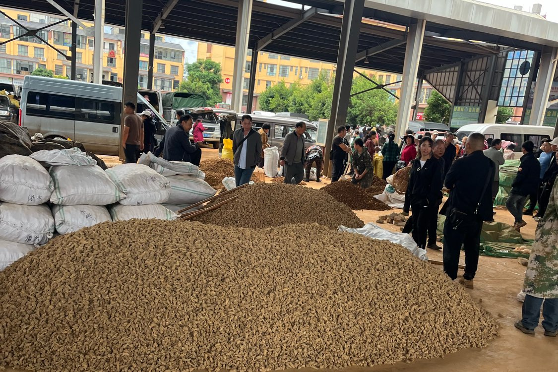 云南省文山市三七新货上市量增加