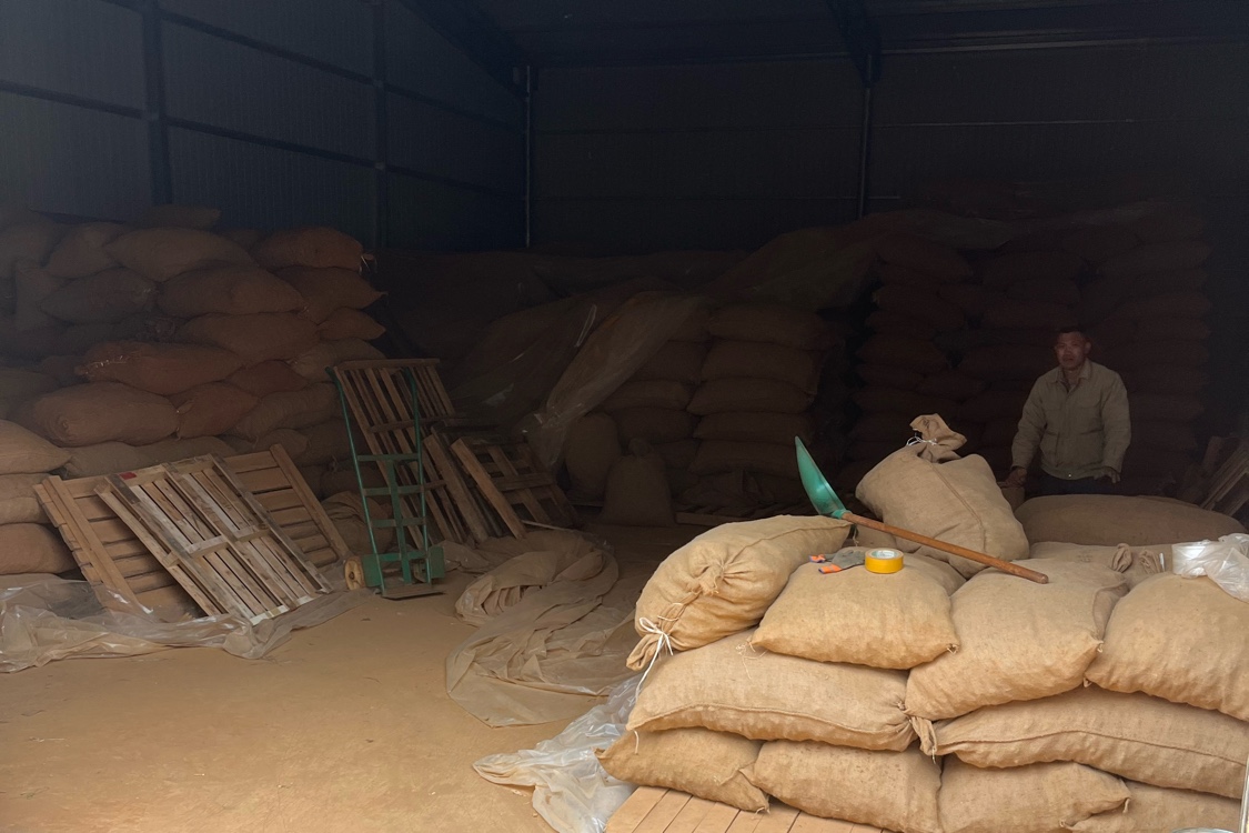 云南省文山市的三七(統货)行情稳定