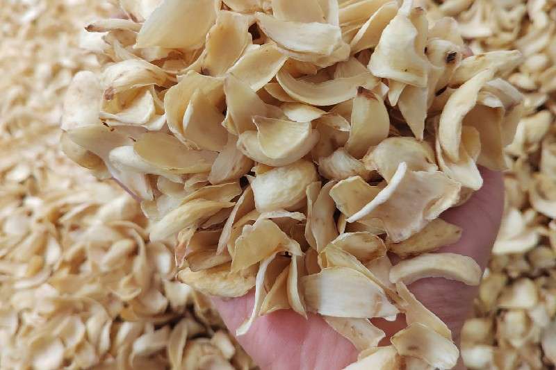 湖南龙山产地百合持续上涨中