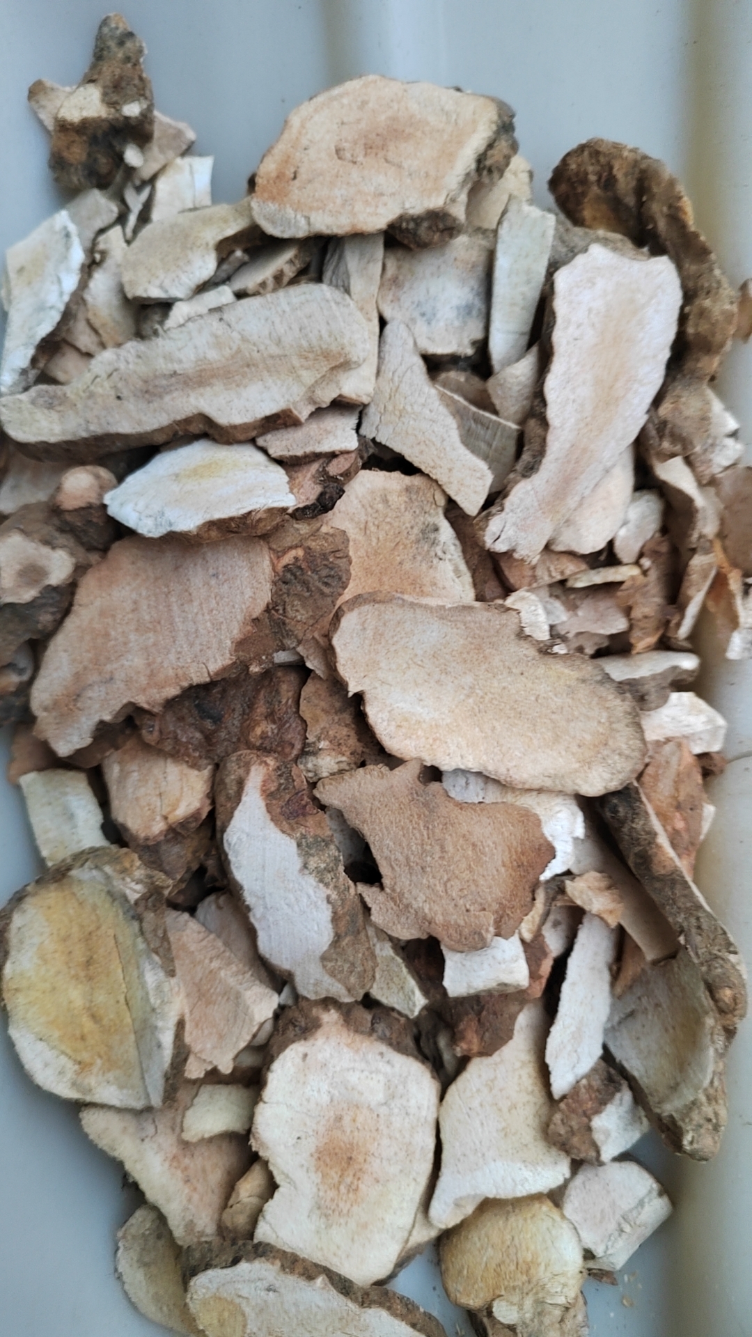 湖南省邵阳市大祥区土茯苓产新接近尾声