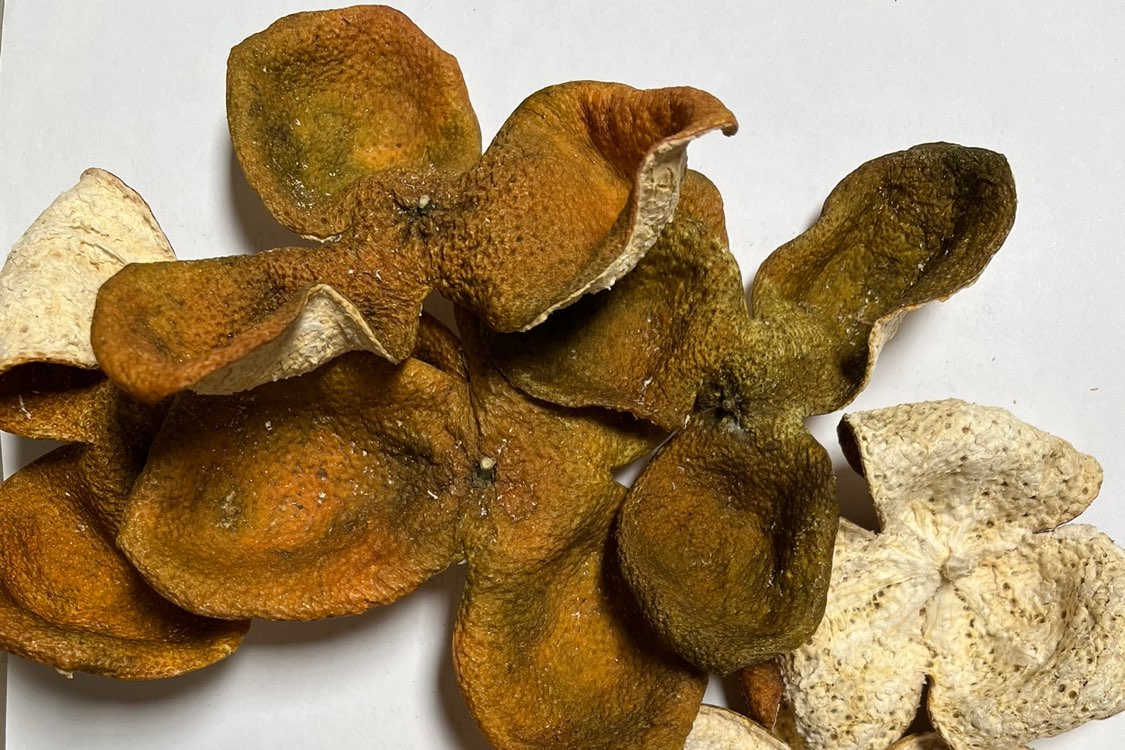 广东省江门市新会陈皮4月份价格平稳