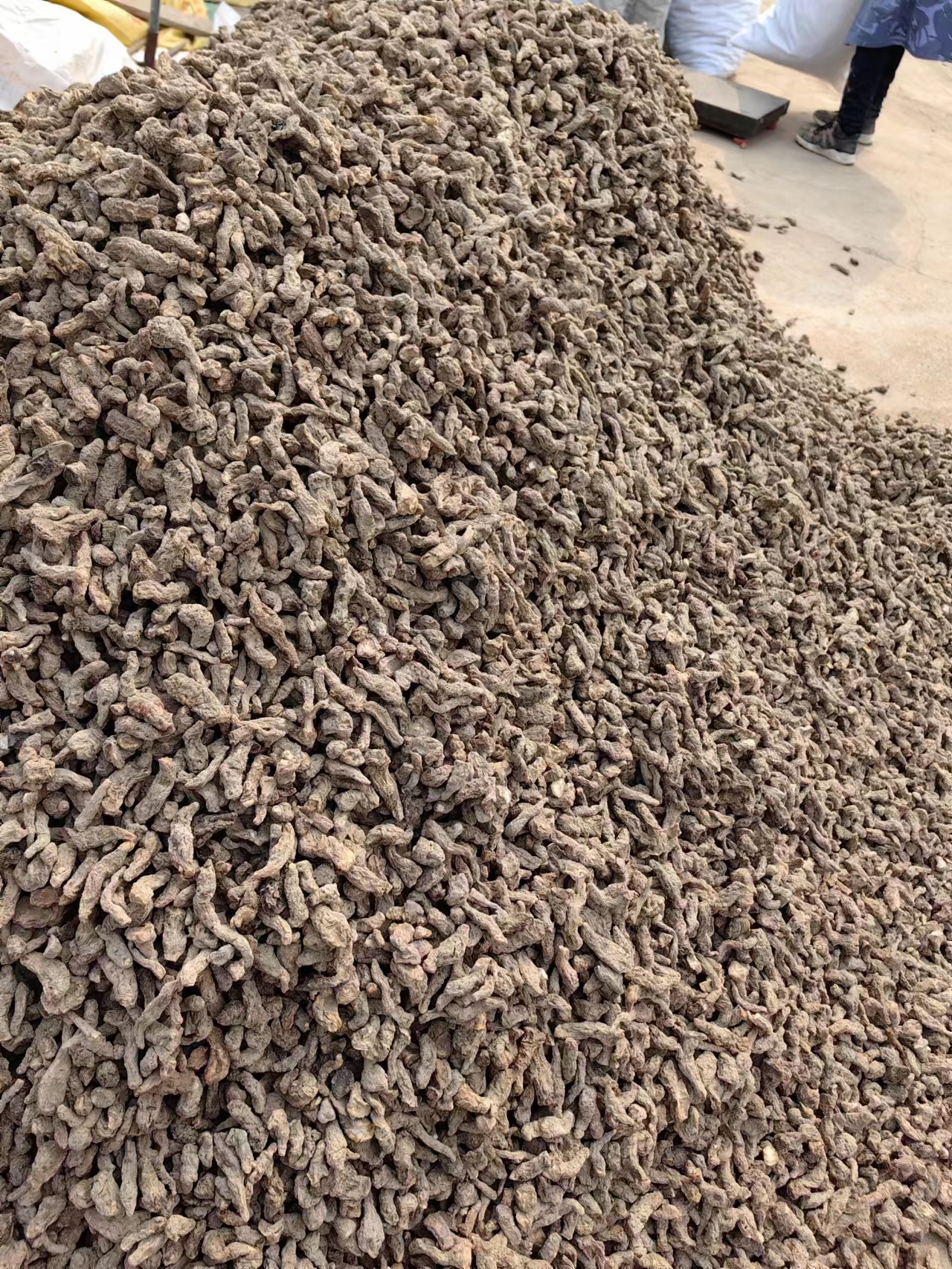 河南焦作武陟县地黄走势一般