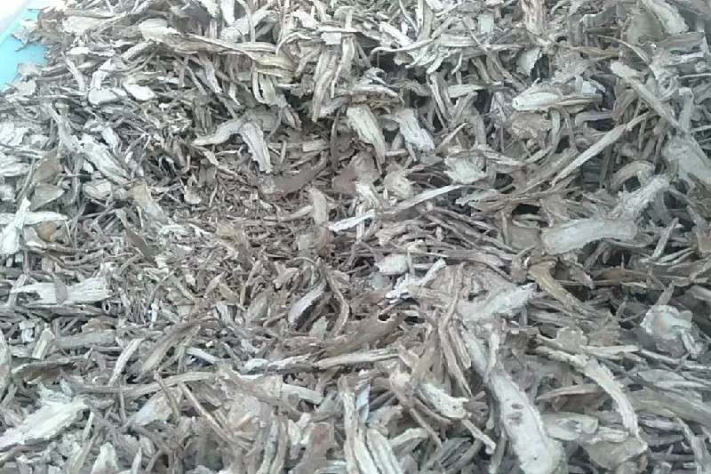 甘肃省定西市岷县当归成交价格稳定