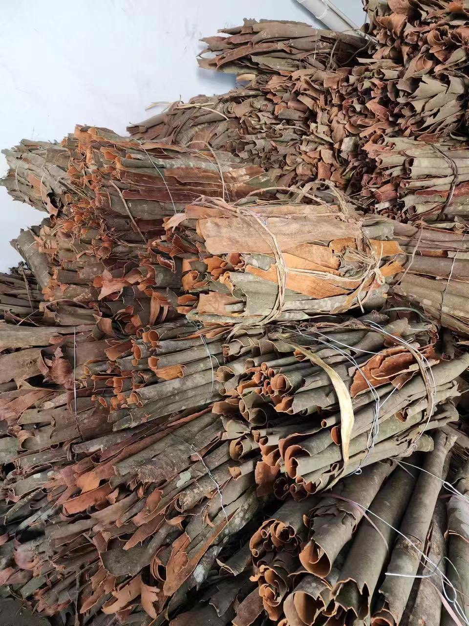 陕西省汉中市西乡县山桂皮价格基本保持平稳