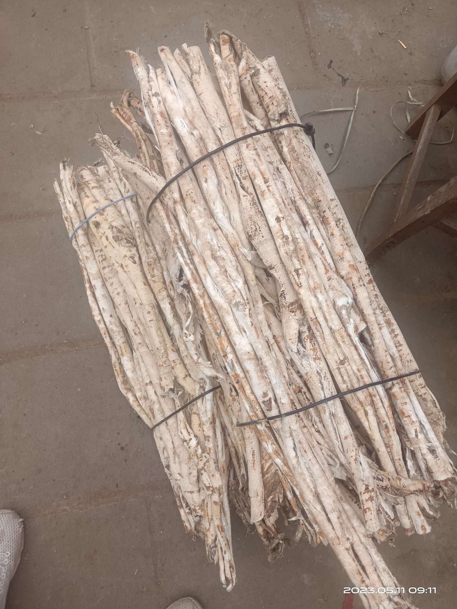 四川省广元市市中区桑白皮走势比较缓慢