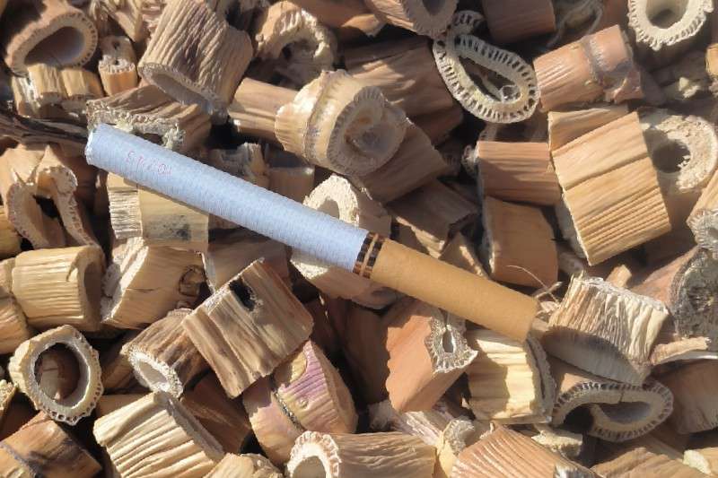 新疆和田地区和田市芦根近期走动加快