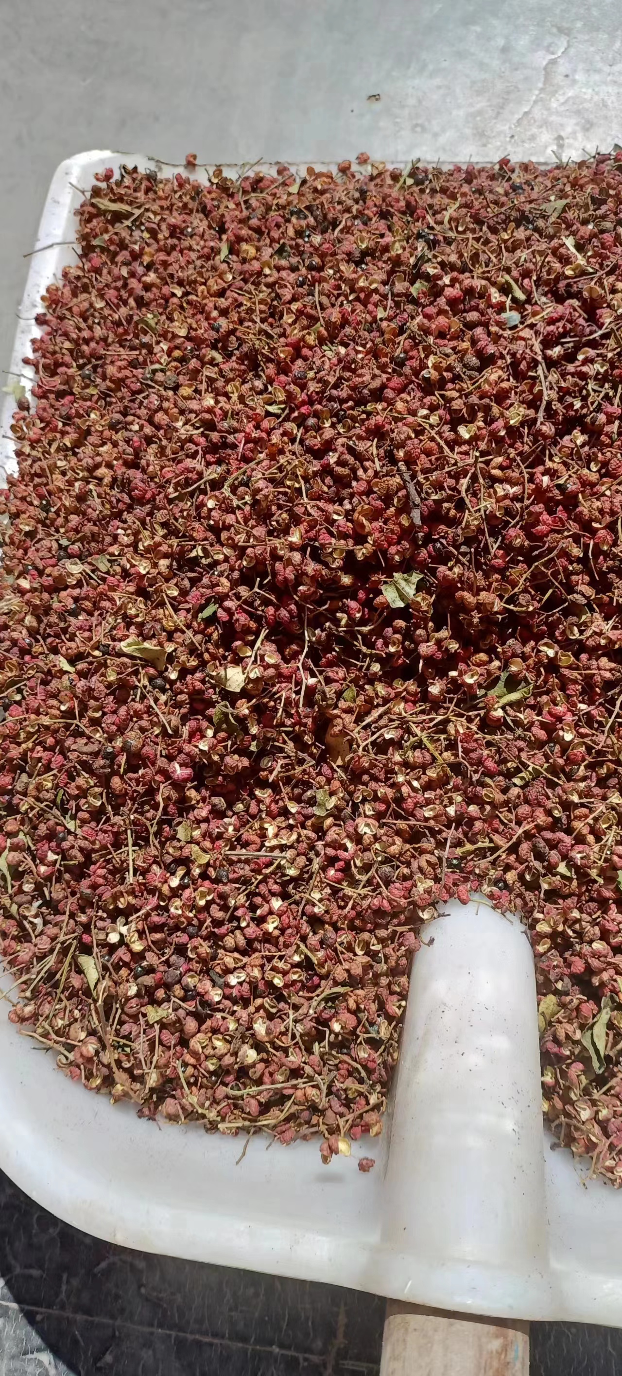 陕西省渭南市合阳县花椒走动畅快