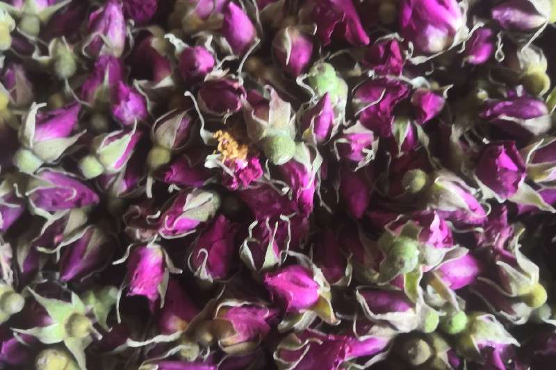 甘肃省兰州市市辖区 玫瑰花 快讯信息