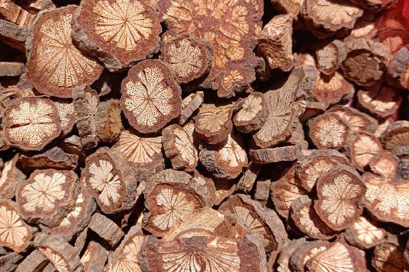 四川省广元市市辖区 大血藤 走势缓慢