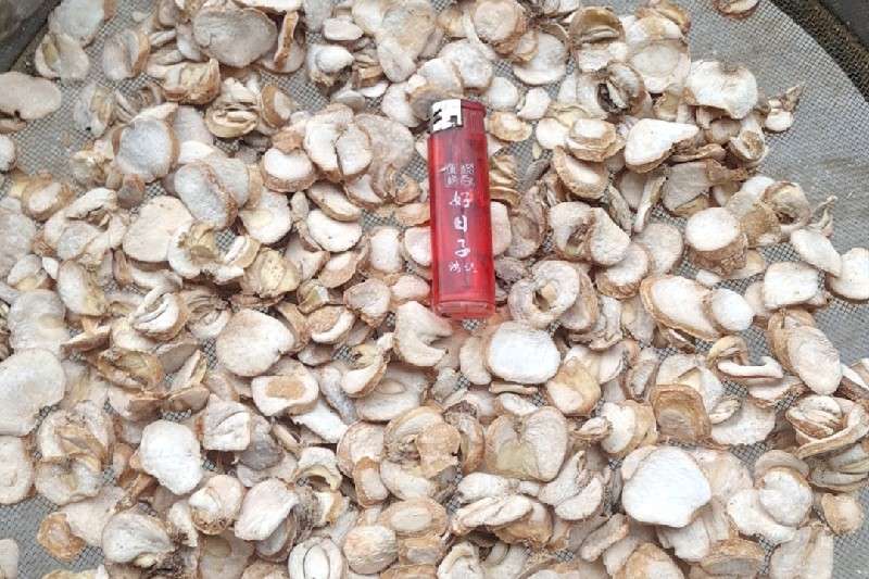 湖北贝母开始产新