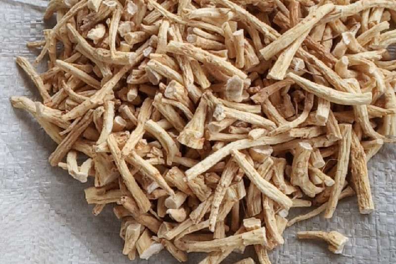 吉林省白山市抚松县西洋参货源走畅