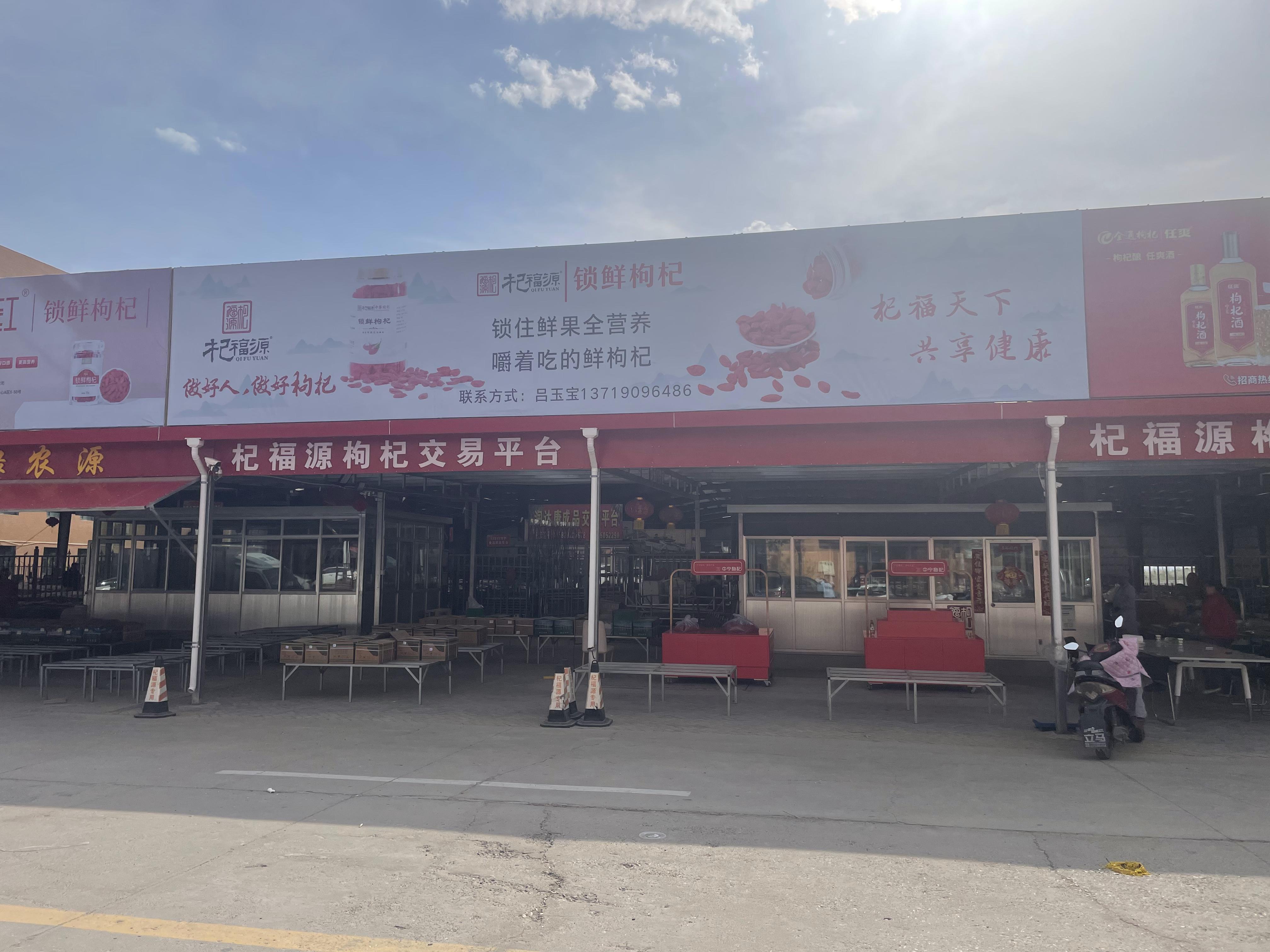 宁夏回族自治区中卫市中宁县枸杞子走动平稳