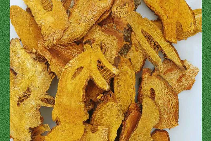 湖北省恩施州利川市虎杖走势畅快