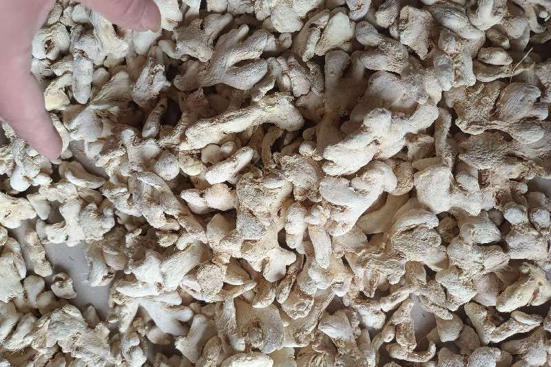 云南省曲靖市罗平县 干姜 商家出售意愿不大