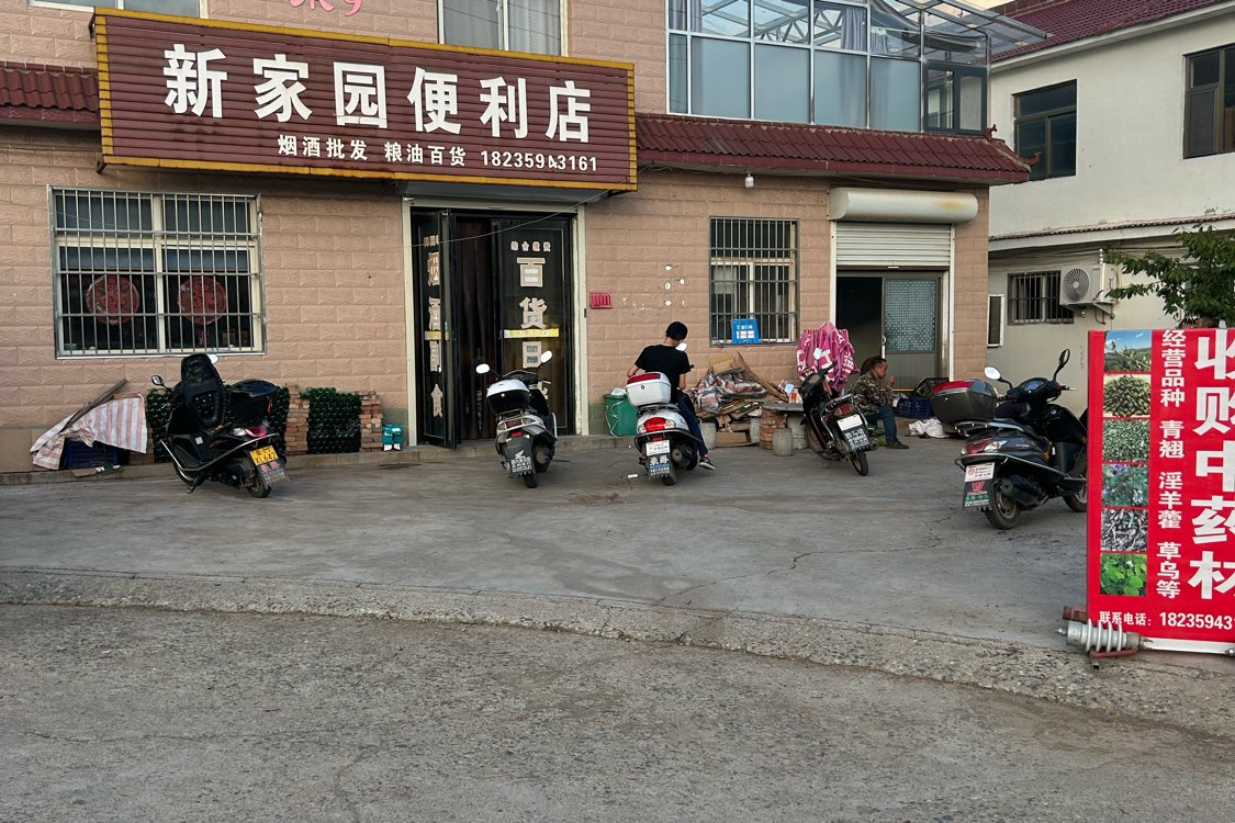 山西省运城市垣曲县连翘产新即将结束