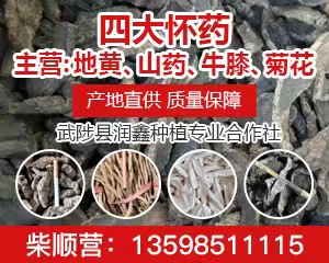 河南省焦作市武陟县地黄价格回落